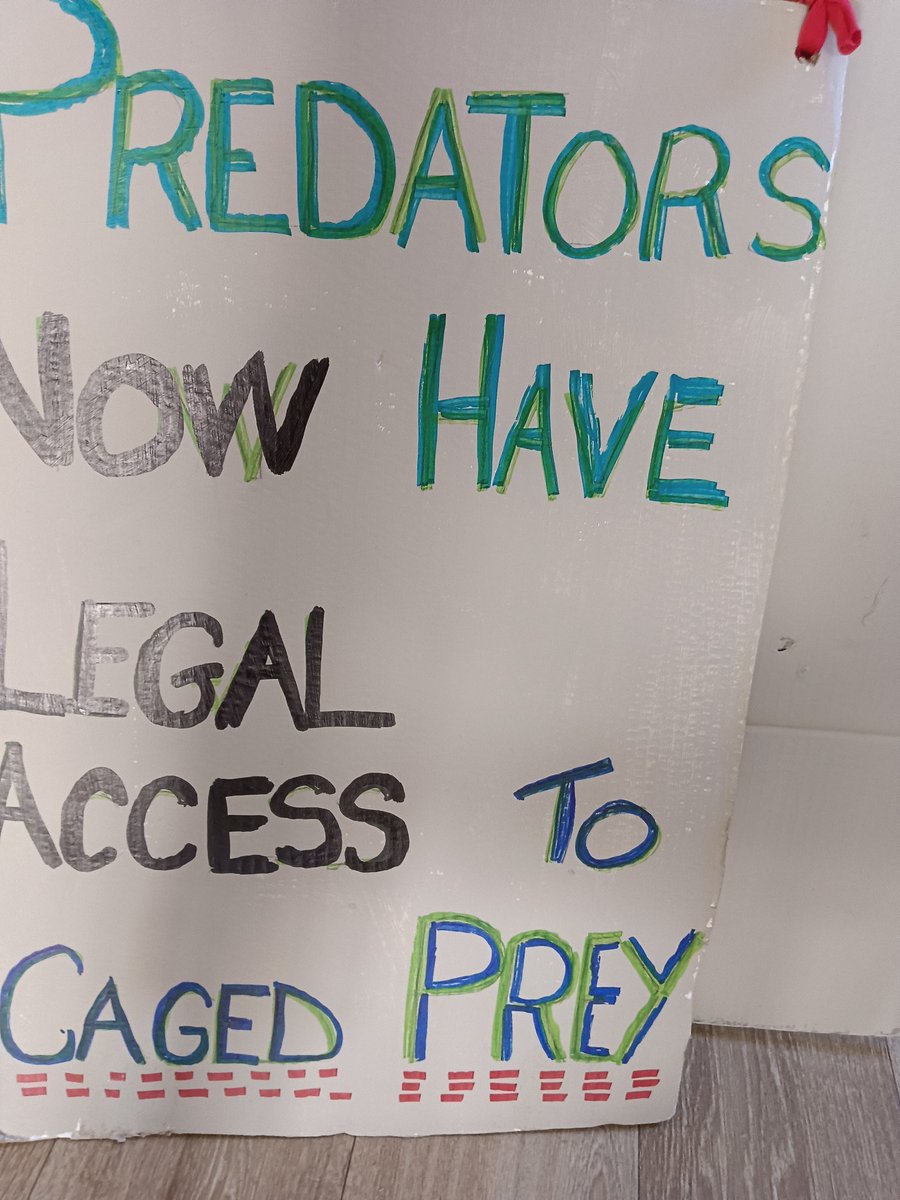 MsCarriggofjustice tweet media