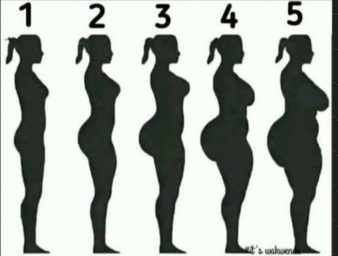 Marcela Quintero tweet media