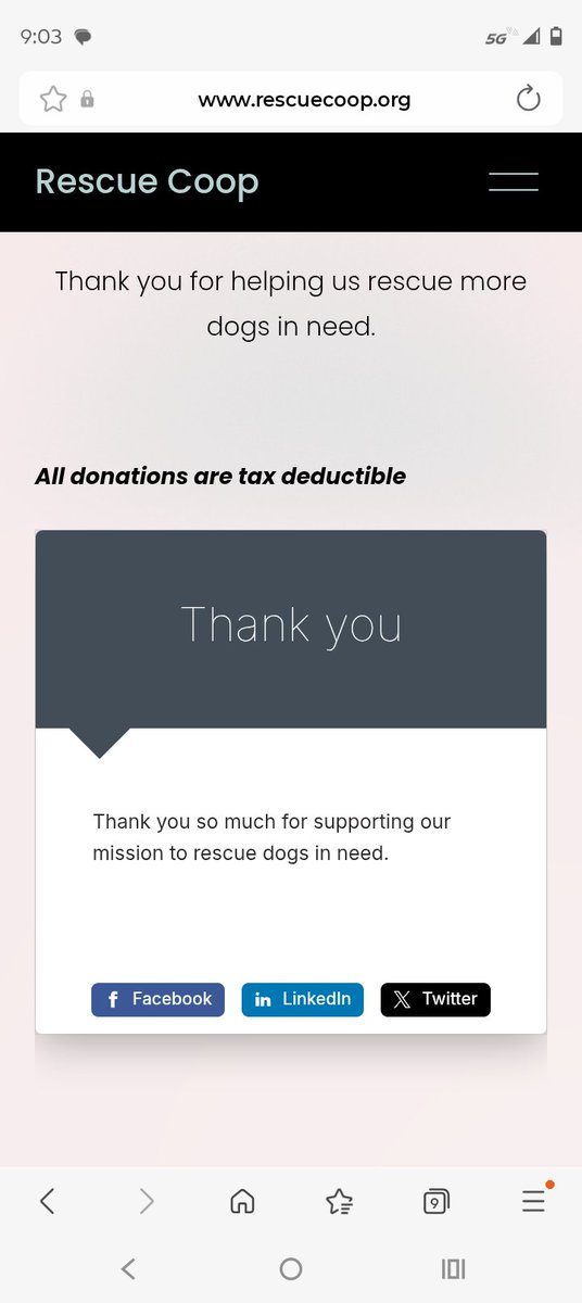 Jeremy - Bubba Dog & Cocoa tweet media