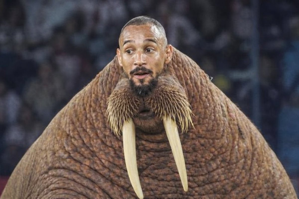 Samuel 1️⃣1️⃣⭐ tweet media