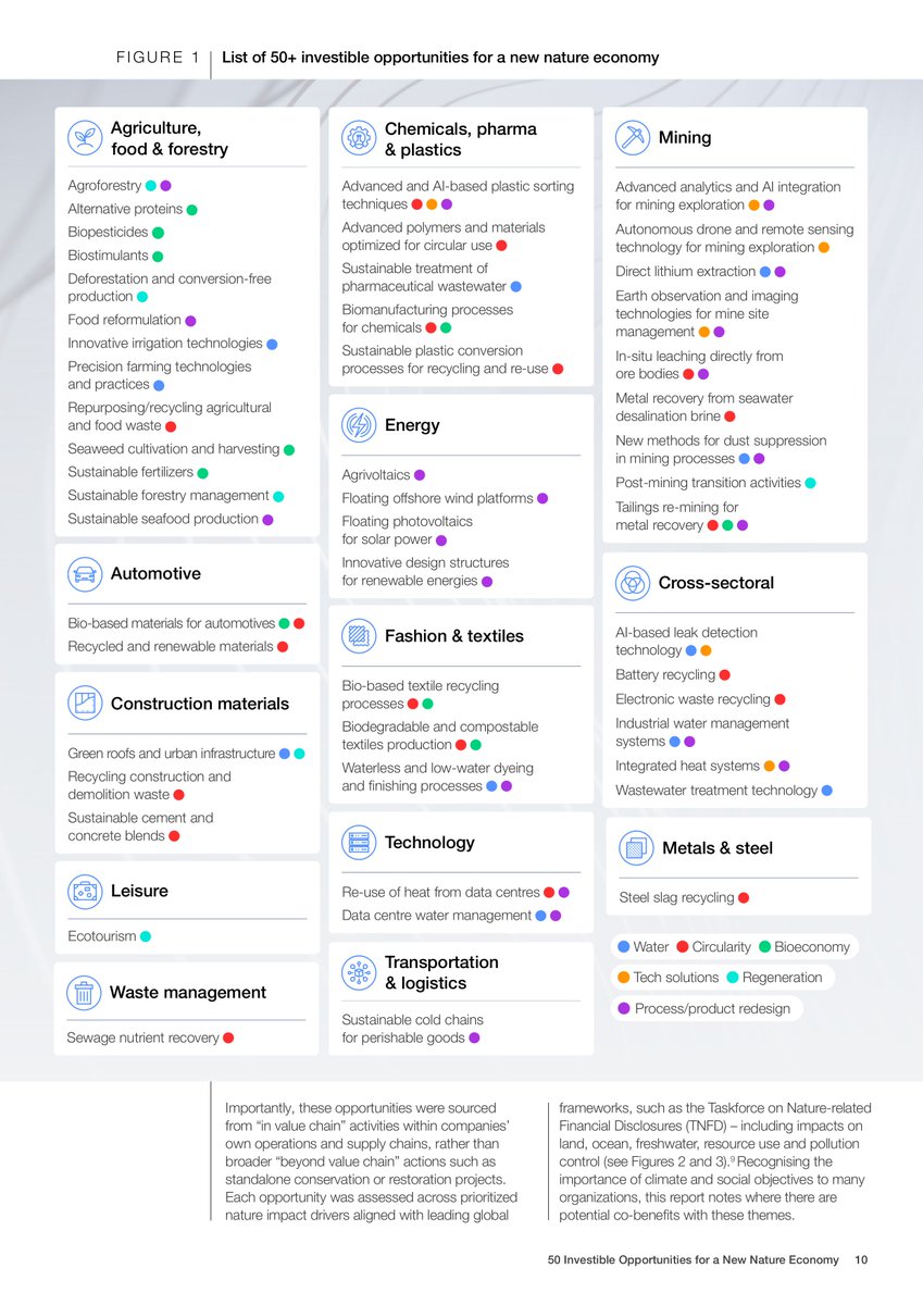 Anne Lochoff tweet media