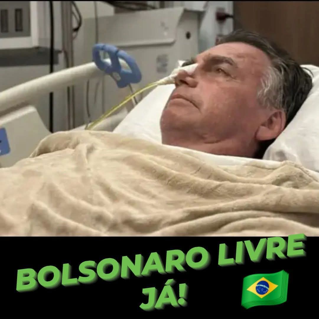 AneleMaria51's tweet photo. @PATRlOTAS @ArmandoBorgesd1 #BolsonaroFree https://t.co/PxDxZ9LTeg