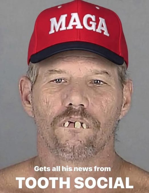 fran media tweet media