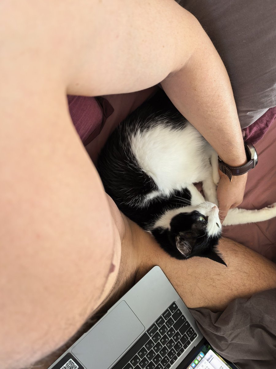 Wilmer Lim tweet media