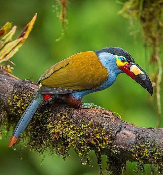 Baba X Wale tweet media