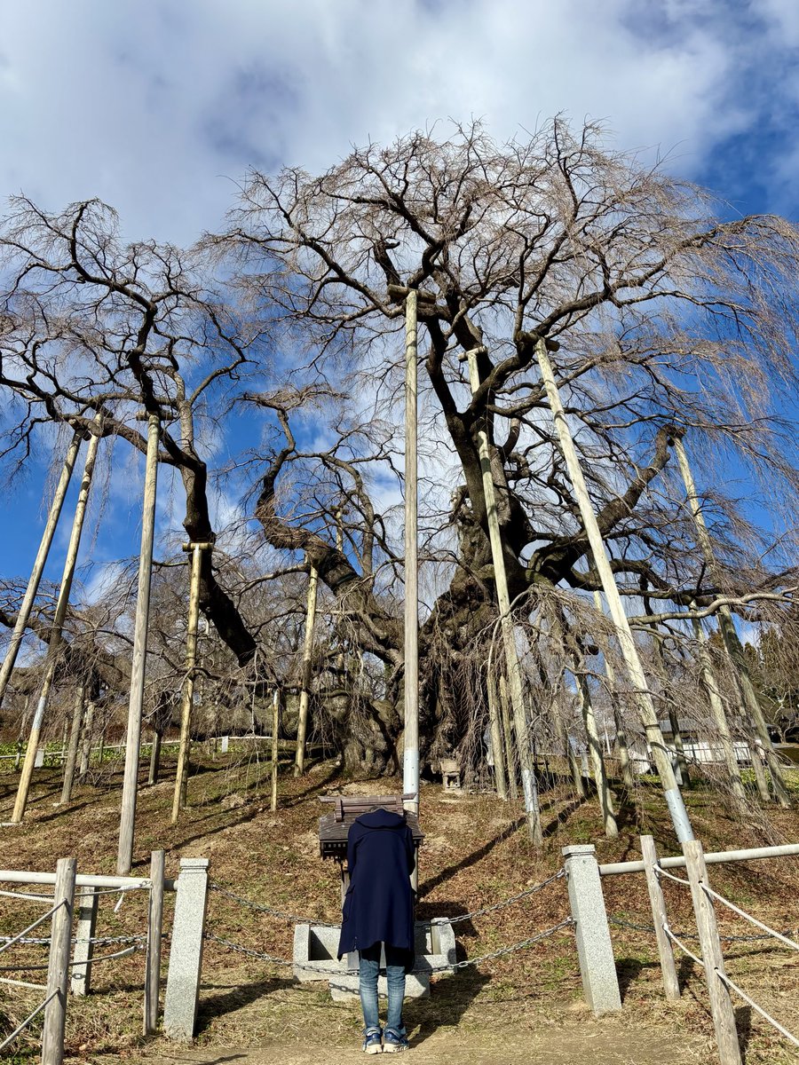 【フライング告知】
福島芸術講の活動成果のひとつとして、今月25日発売の月刊角川『俳句』4月号に、参加作家のお一人・小澤實さんによる「続福島巡礼50句」が掲載されます。  
ぜひお手に取ってご覧いただけましたら幸いです。