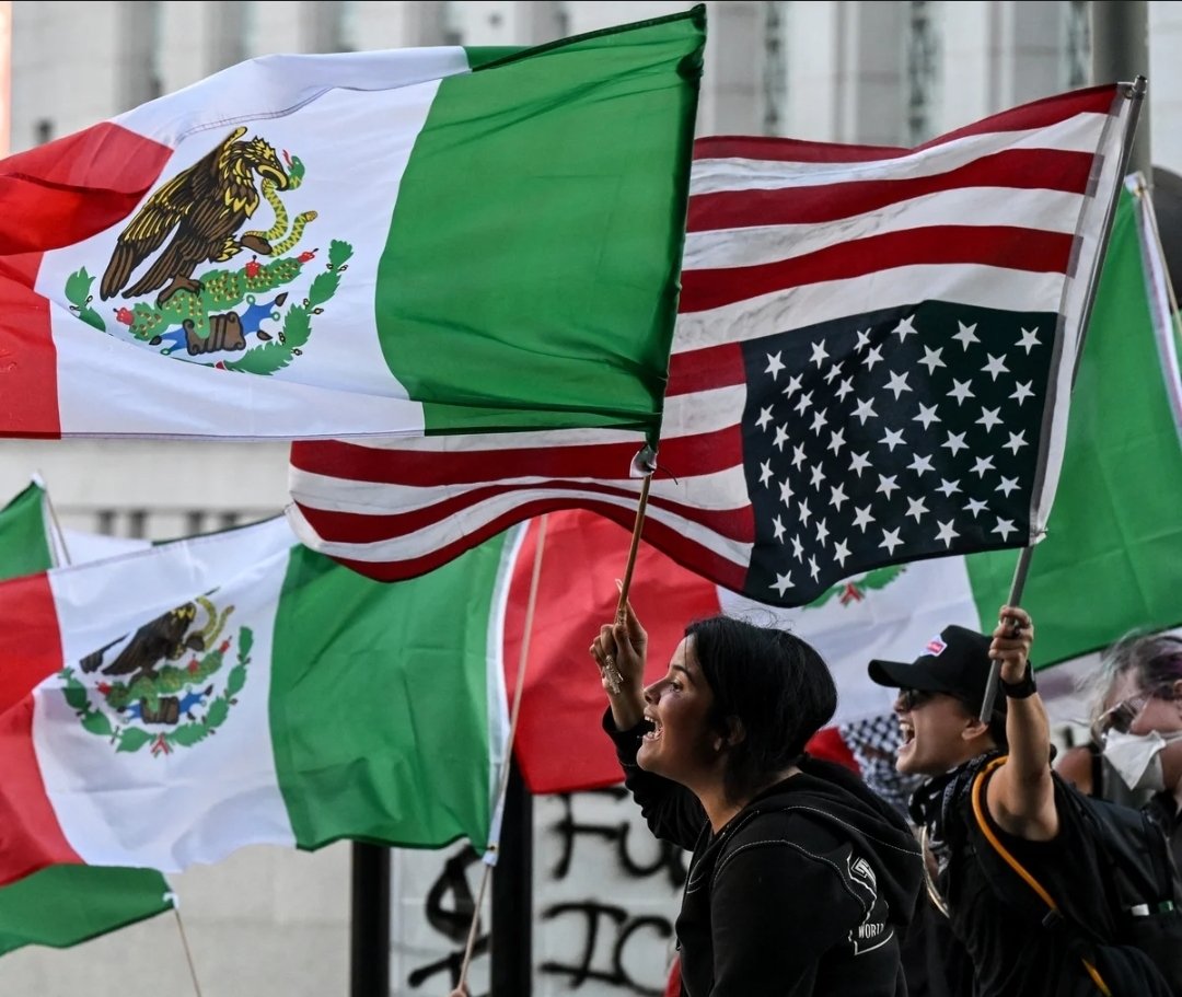 Violence First tweet media