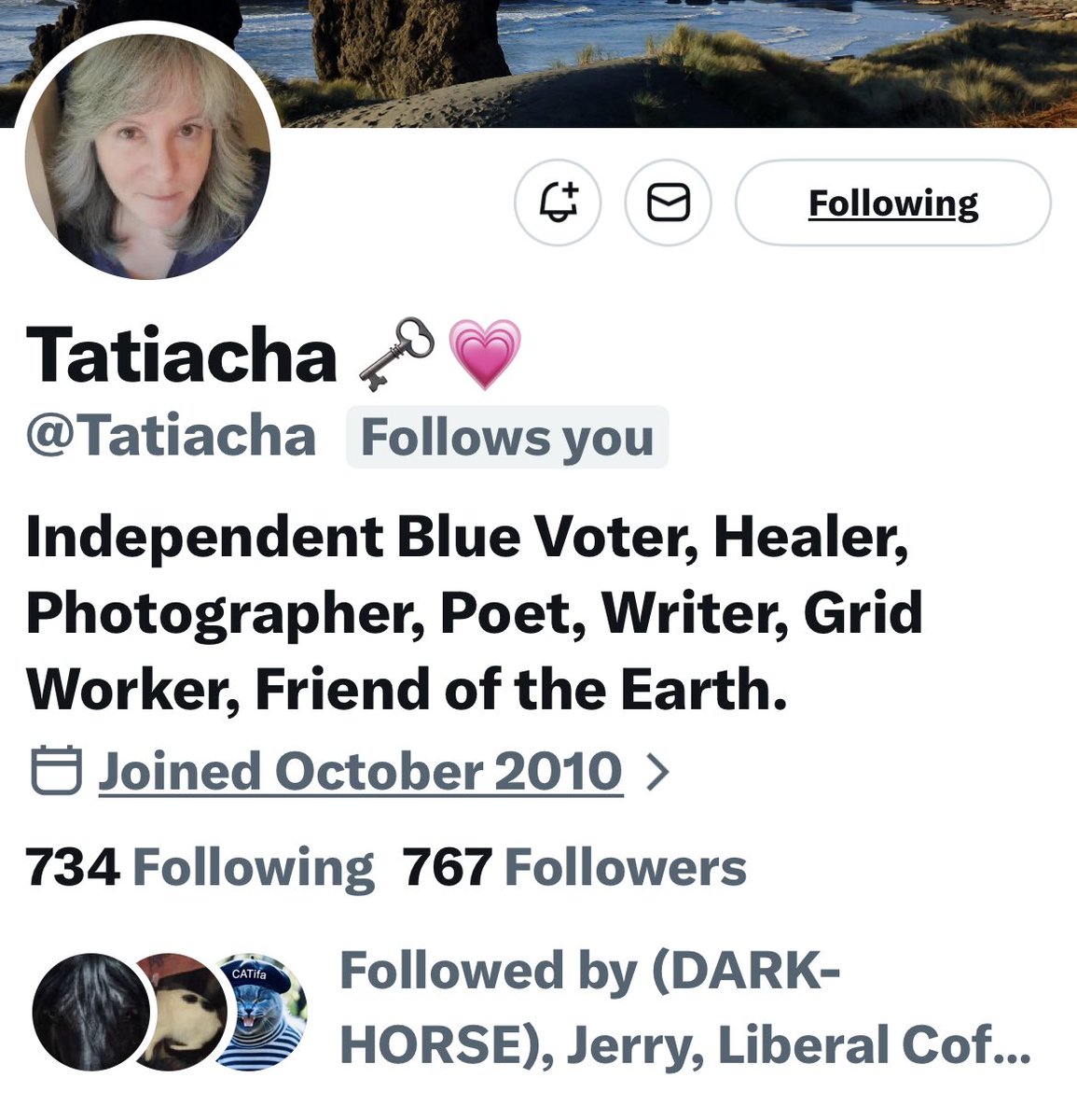 Turquoise Cat tweet media