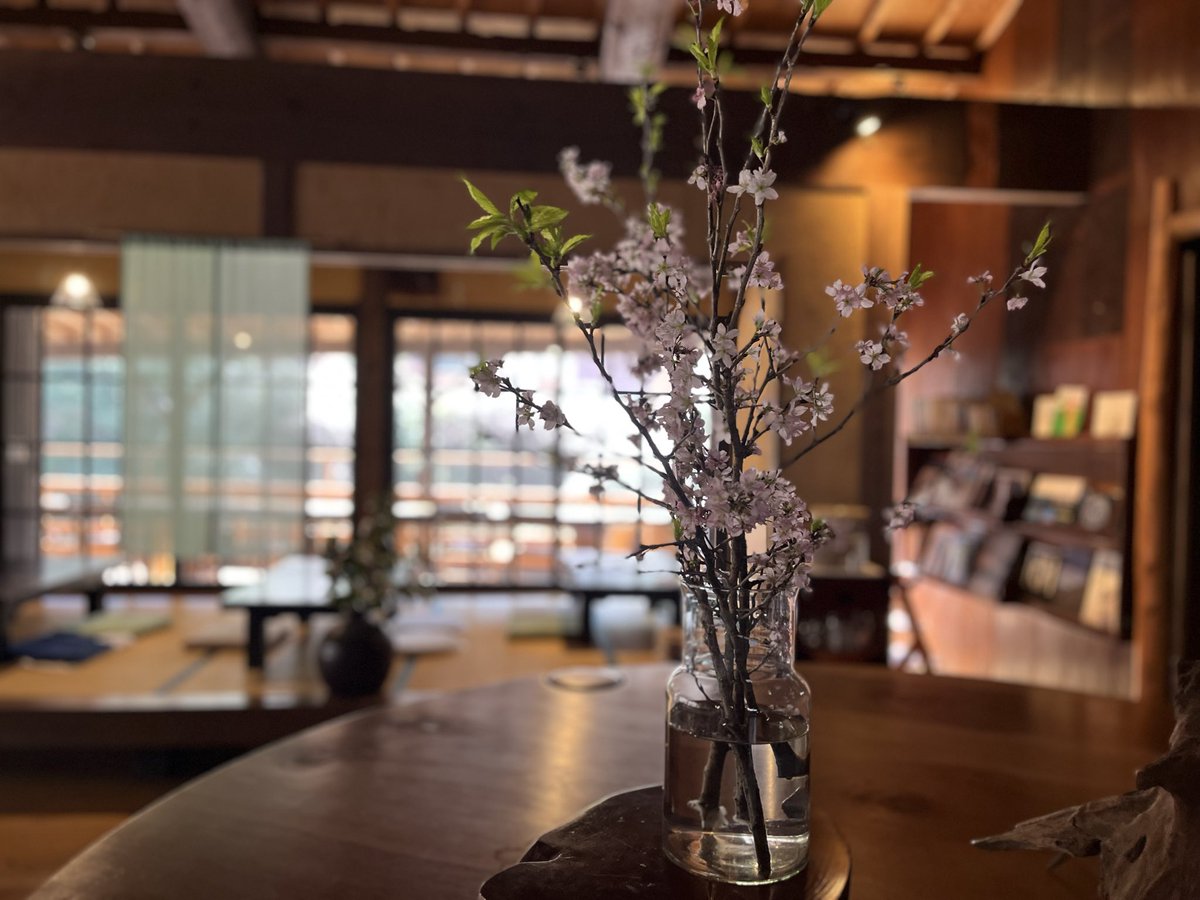 haaaru2078's tweet photo. 春の茶寮千代乃園
この季節はお花に囲まれてます https://t.co/3F3mwGp8AO