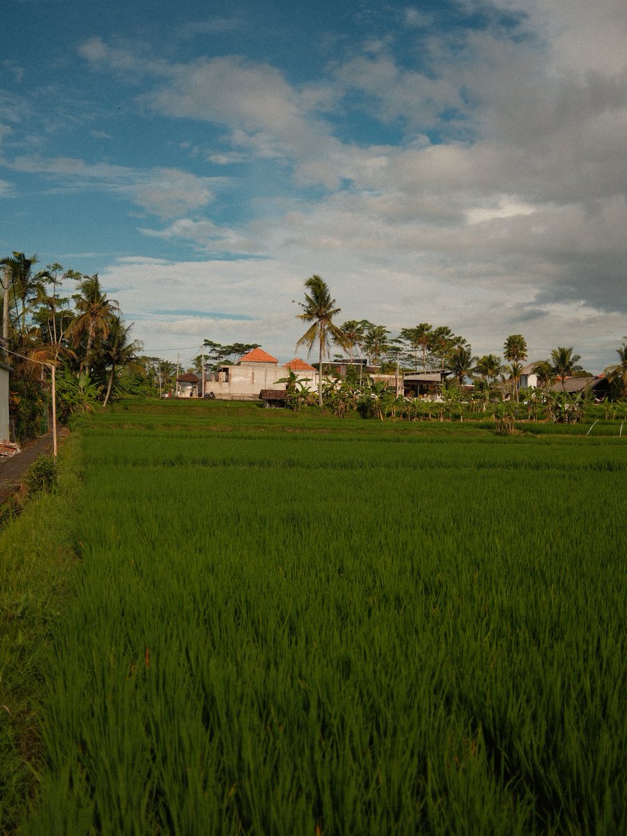 Soumendra Jena tweet media