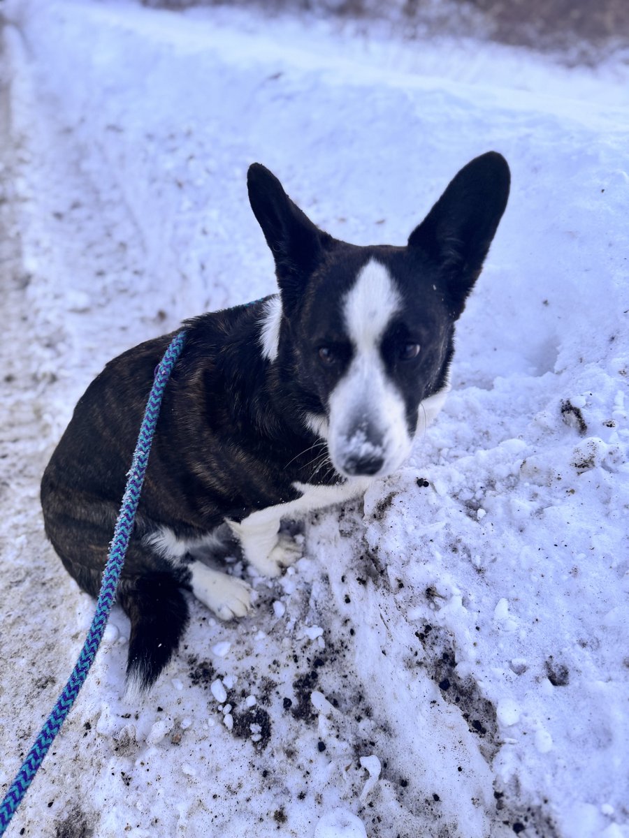 Christine D Peterson tweet media