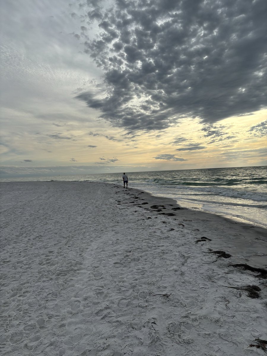 Tom Brunswick tweet media