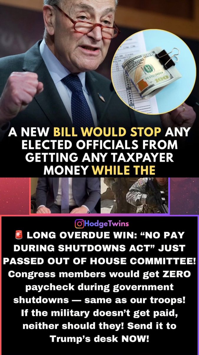 Maggie Basil tweet media