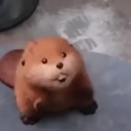 OFP #LEAKMJSEATENALIVE tweet media