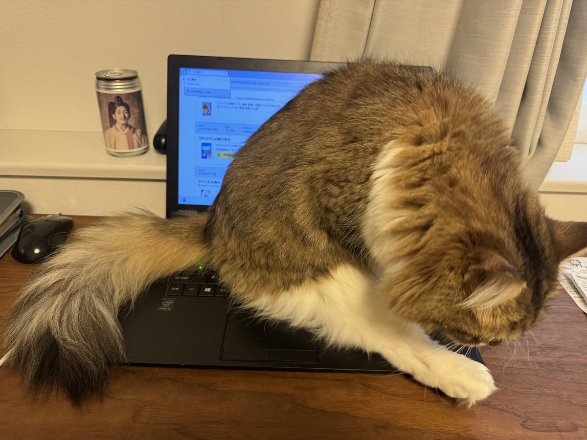 ねこまたぎ tweet media