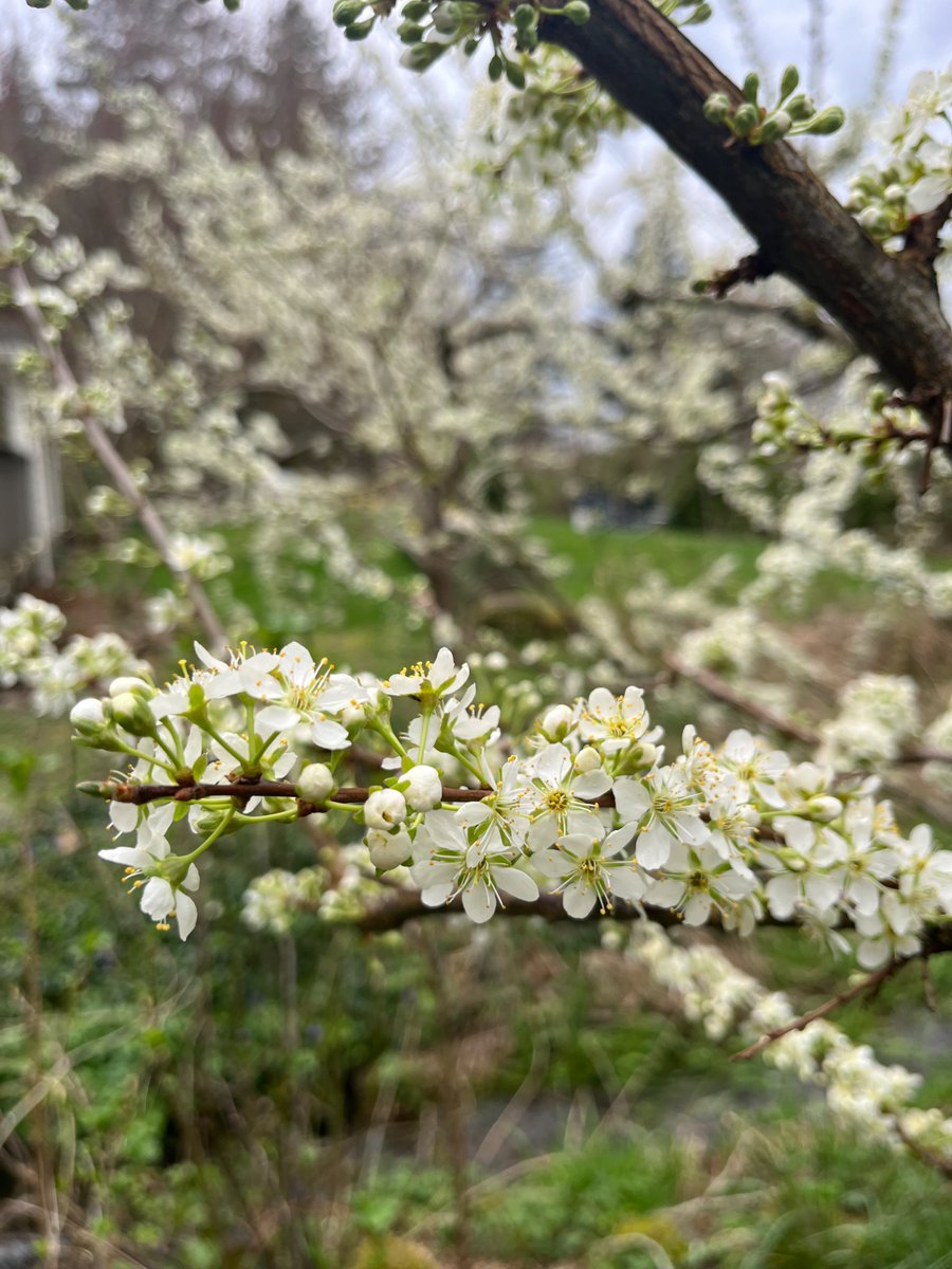 Paul J. Pastor tweet media