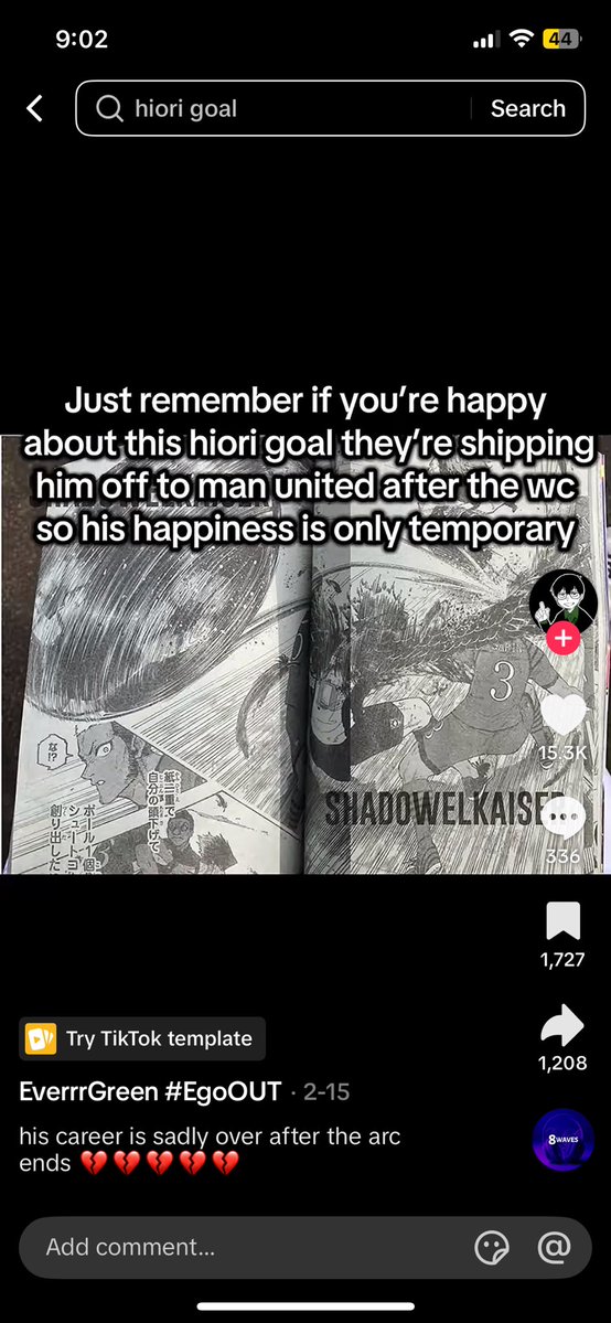 kaci🦭 tweet media