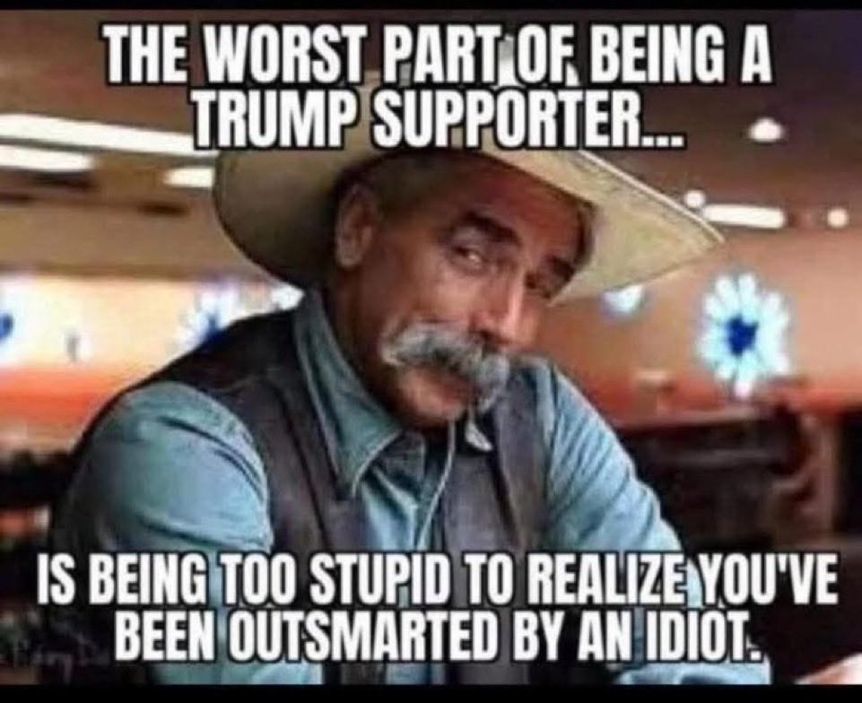 ProjectTS tweet media