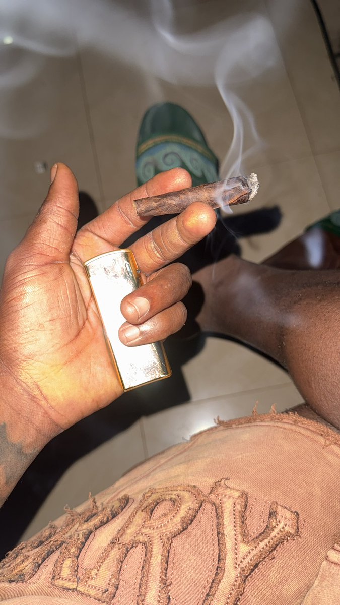 HARD BRAIN 🧠 STRAIN 🌳 tweet media