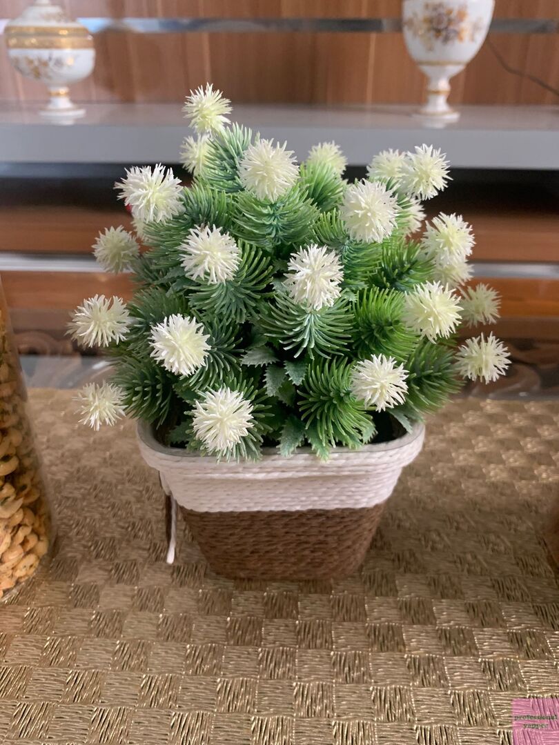 YAPPINGFESS tweet media