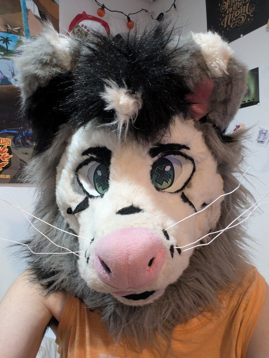 Mokka 🔜 BWS,FWA tweet media