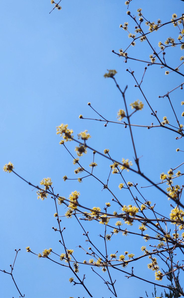 알짜배기 tweet media