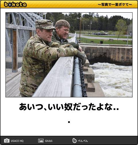 シルドリ tweet media