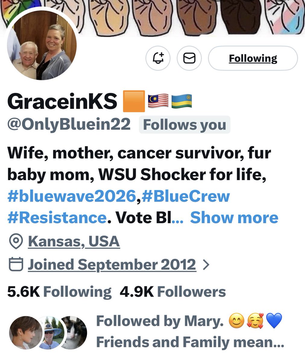 Turquoise Cat tweet media