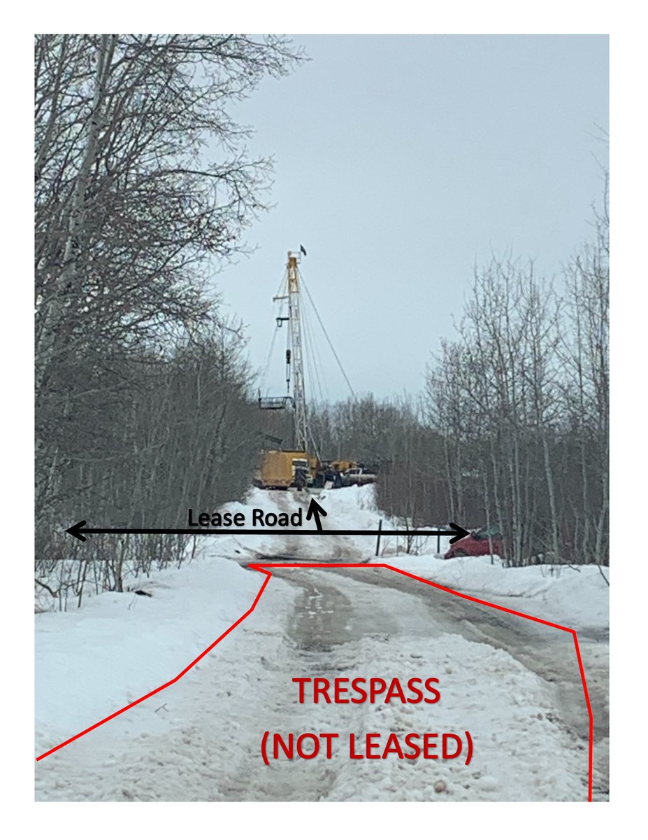 Mark Dorin tweet media