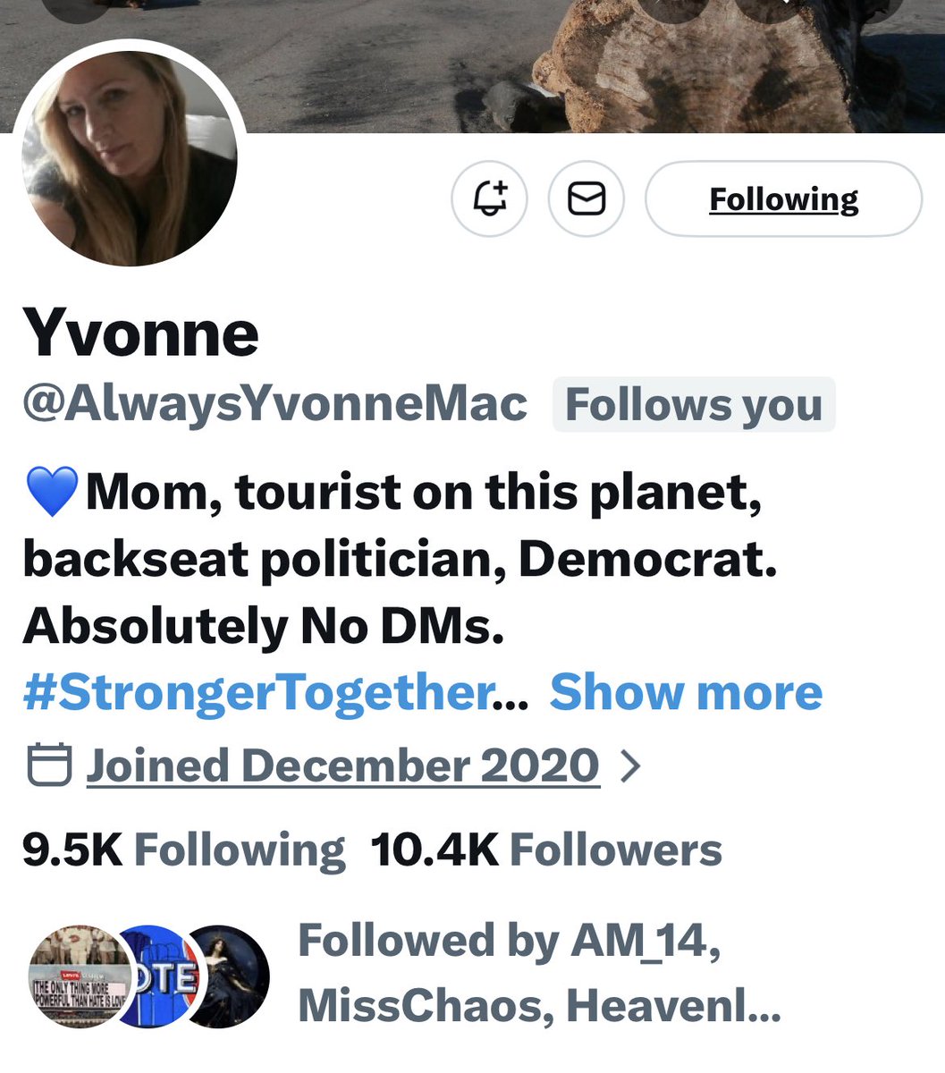 Turquoise Cat tweet media