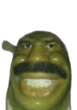 Mirko 🐰 tweet media