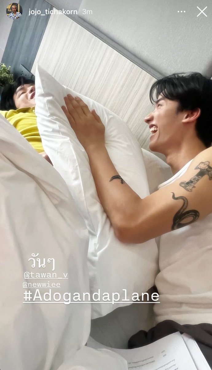 🫧 ◡̈ тѕυвaѕaĸaシ 🎼แบบนี้ คนนี้ tweet media