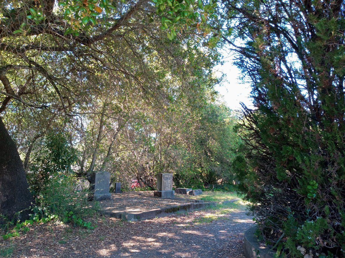 Kat The Red tweet media