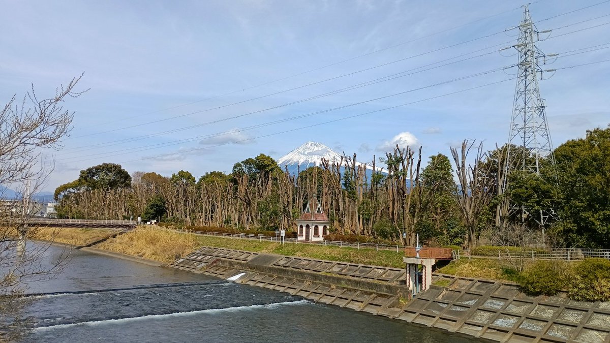 dic161's tweet photo. 「潤井川、遮るものなく富士を抱く」
最近の #富士山
送電線を避ける為に中央公園の木が少し伐採されました。
富士山と潤井川が綺麗に見えるようになりました。 https://t.co/oqVGIYD7Vf