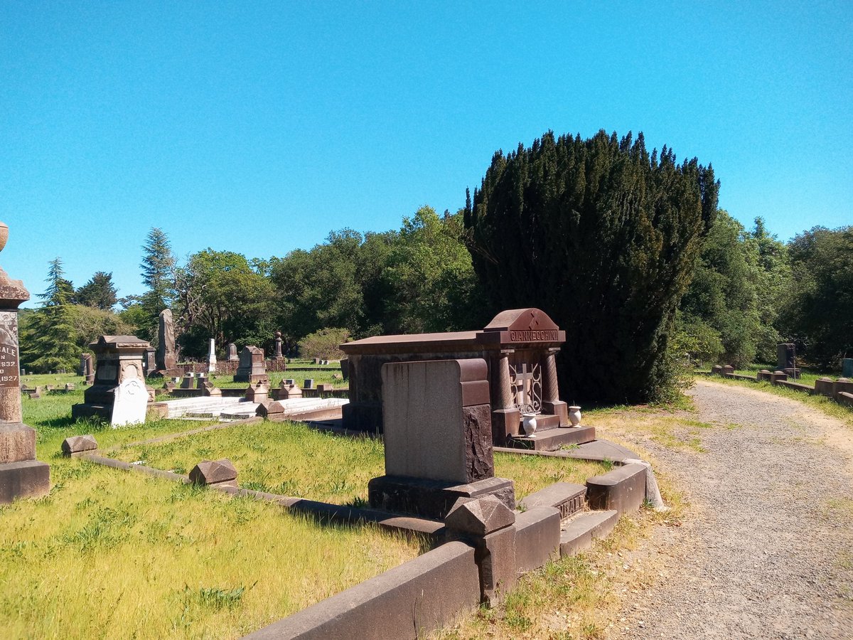 Kat The Red tweet media