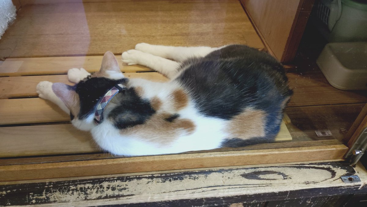 はま☆かっちゃん♂ tweet media