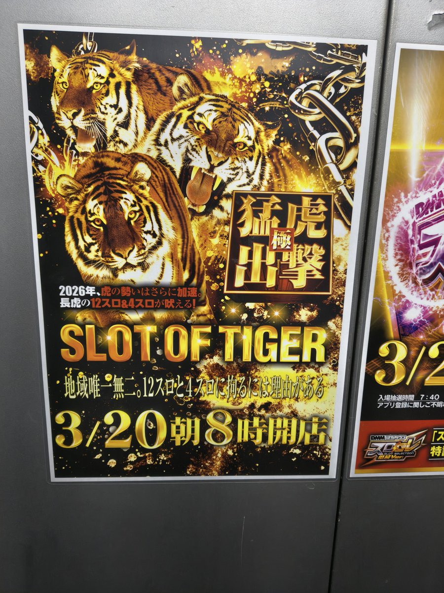 マサキ DOLIPULE tweet media