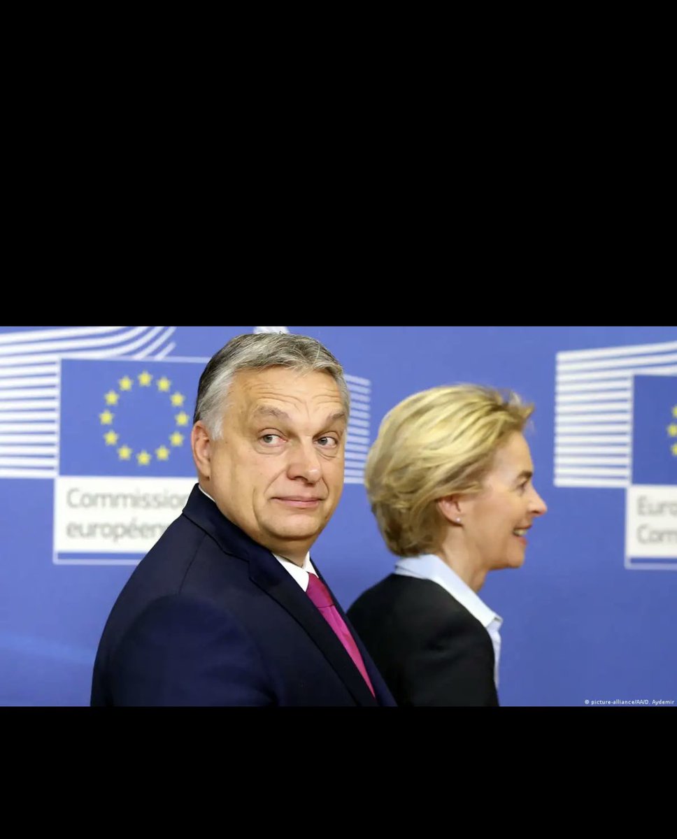 victorious divine tweet media