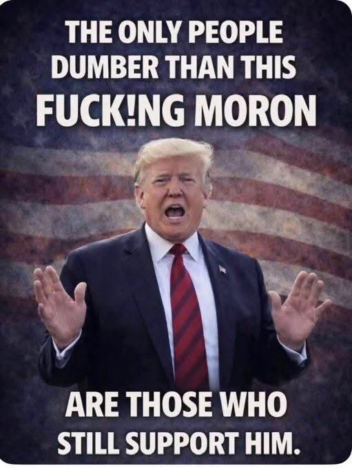 My View on the World tweet media