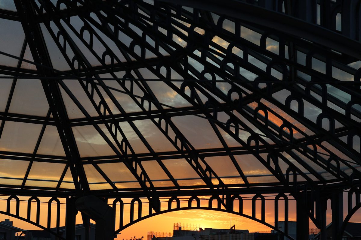 カメラ専門店 マップカメラ【公式】 tweet media