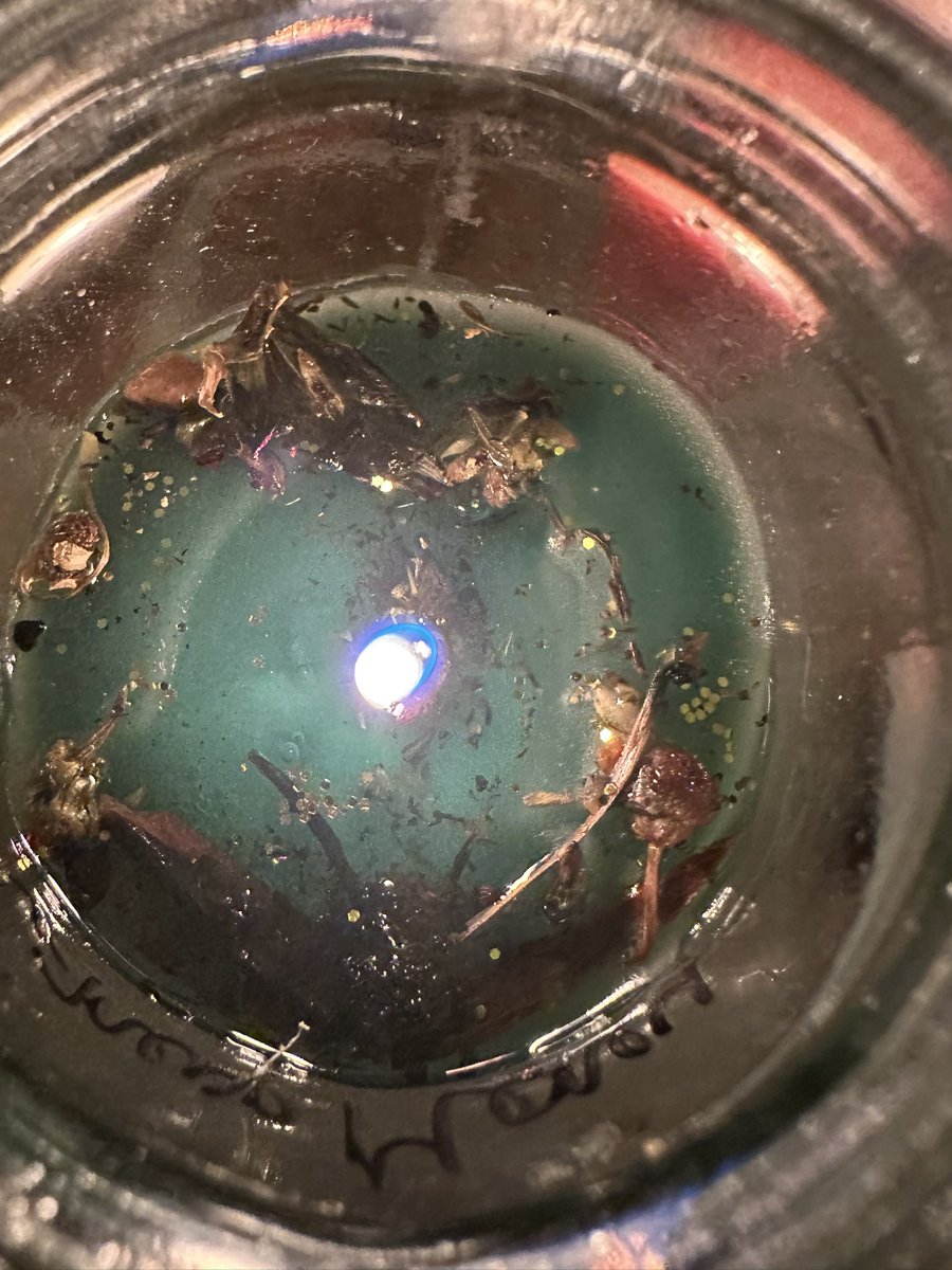 capricorn cunt 🎀 tweet media