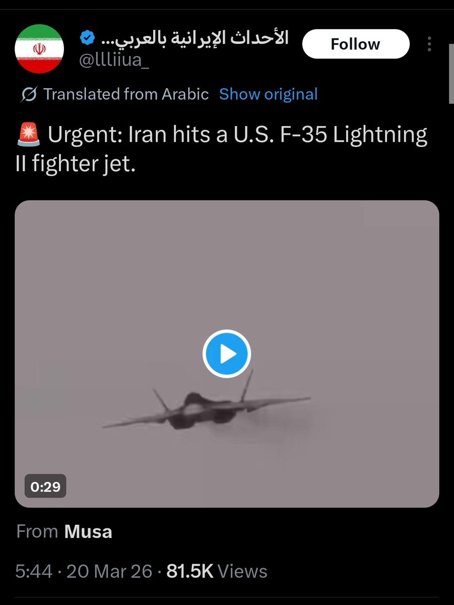 The Search tweet media