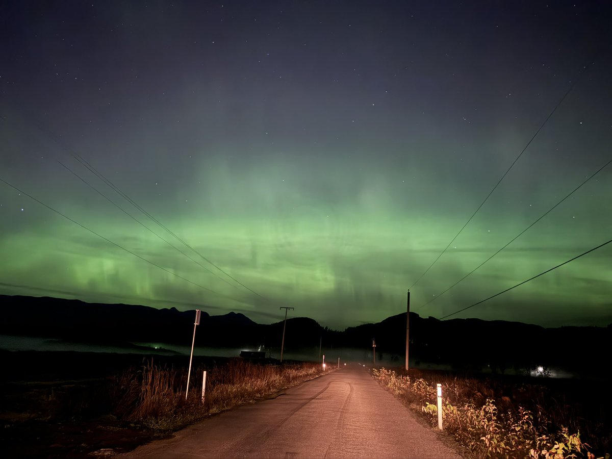 Snepts’ Skate tweet media