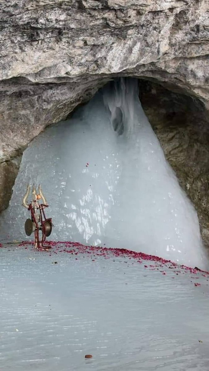 रानी पुरोहित tweet media