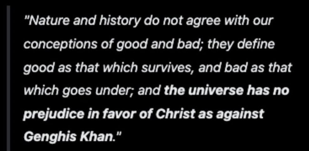 Max 📟 tweet media