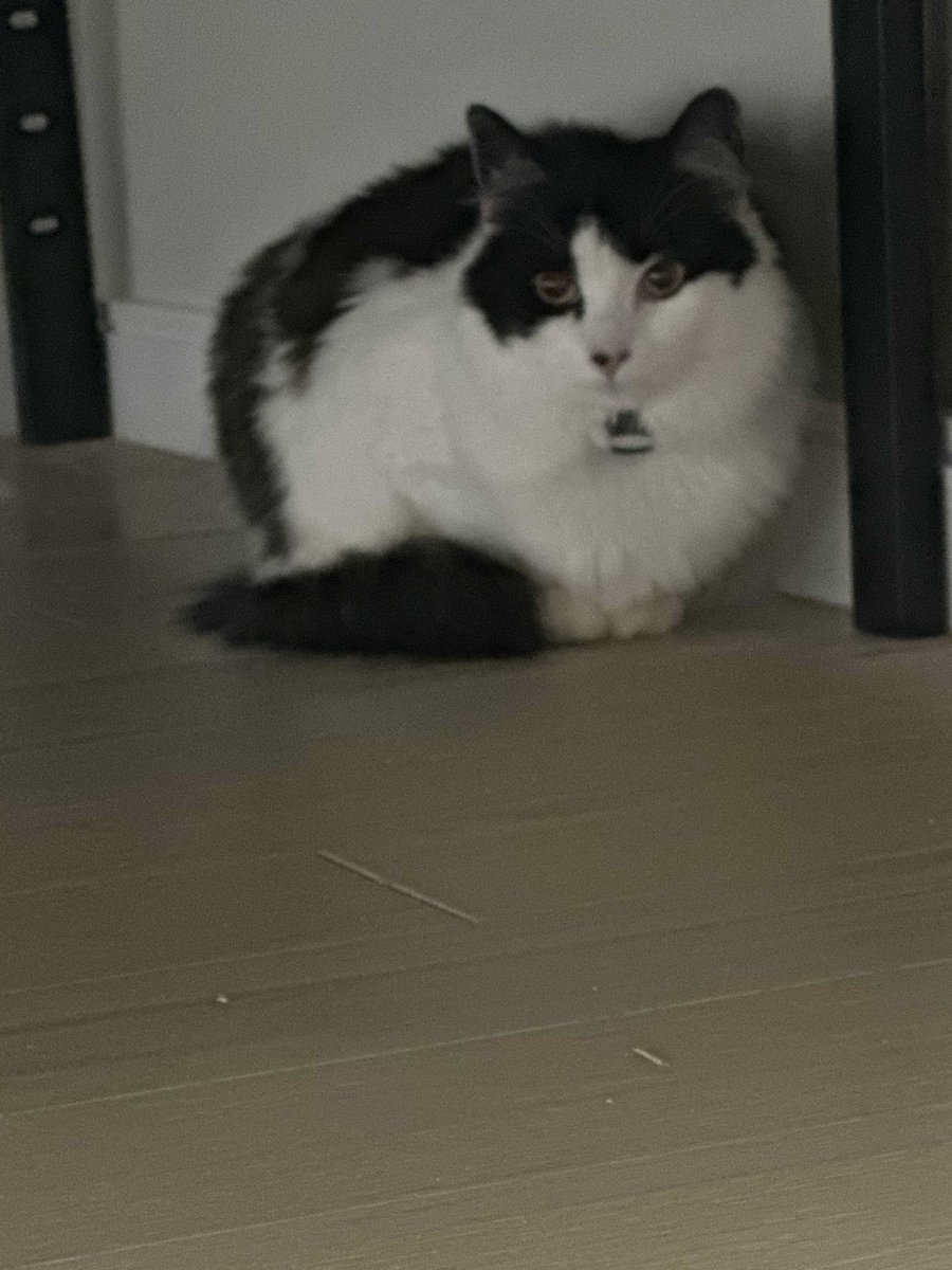 Silverware Games™ tweet media