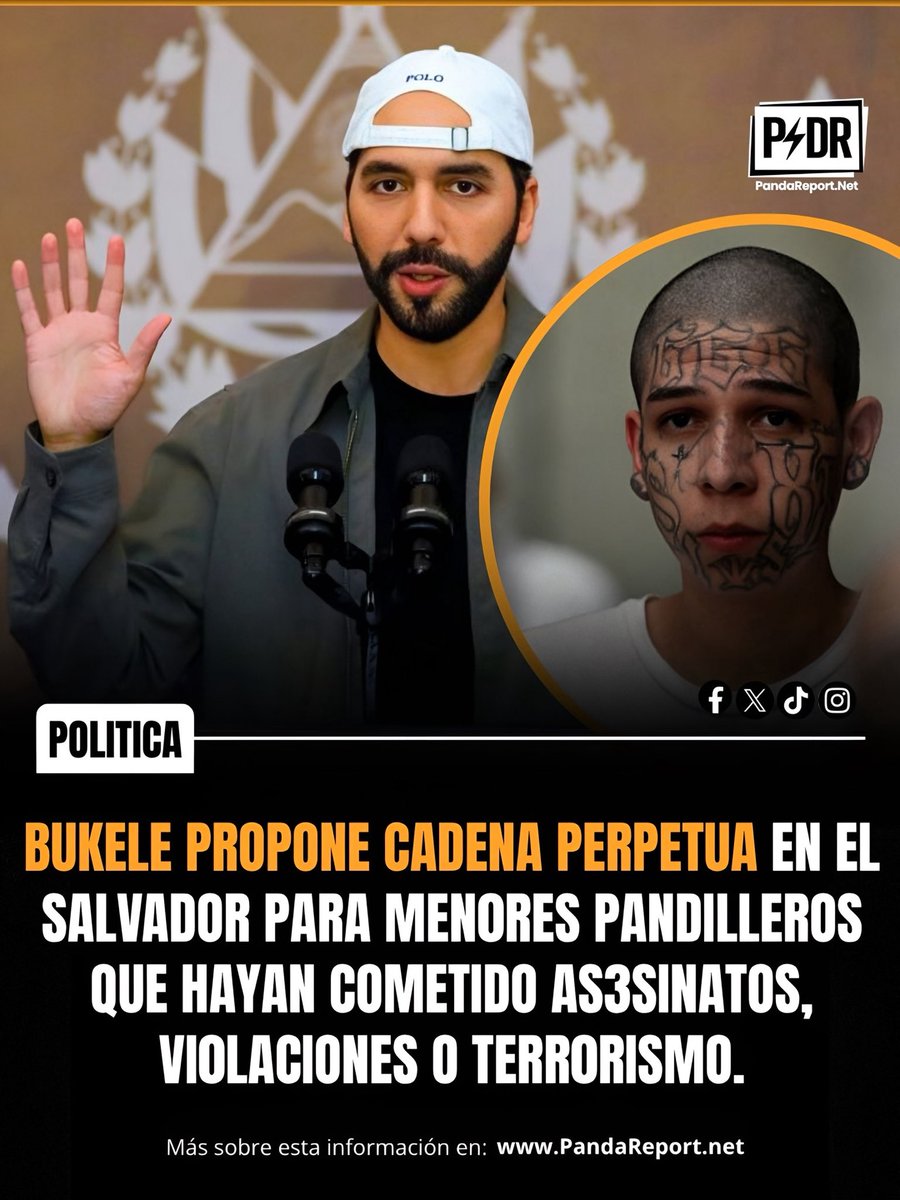 @Pandareport.net tweet media