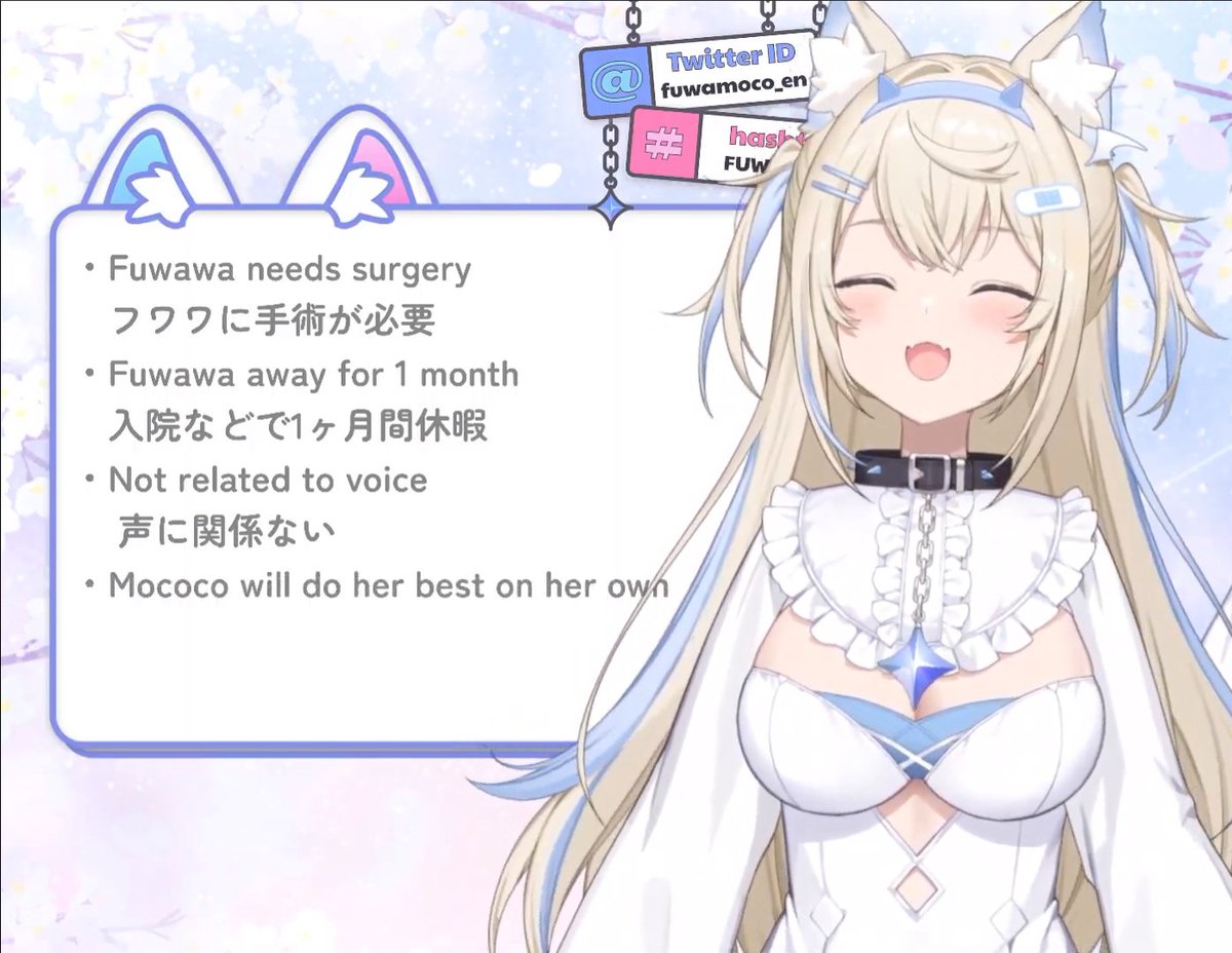 Tekzi🐾 tweet media