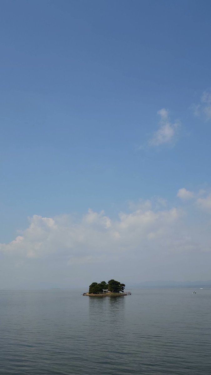 OKUI JUN tweet media