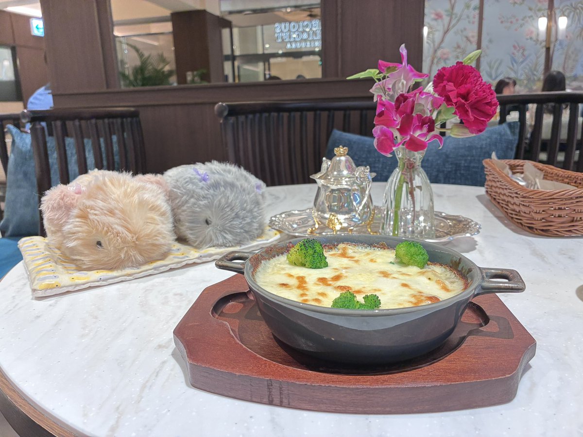 φ田π子＠ごな&えこ＆すぅぼ&ごかぁる主 tweet media